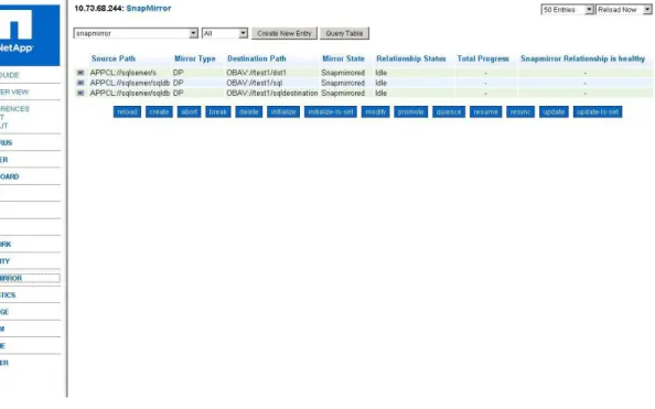 Figure 3) SnapMirror status in FilerView.  