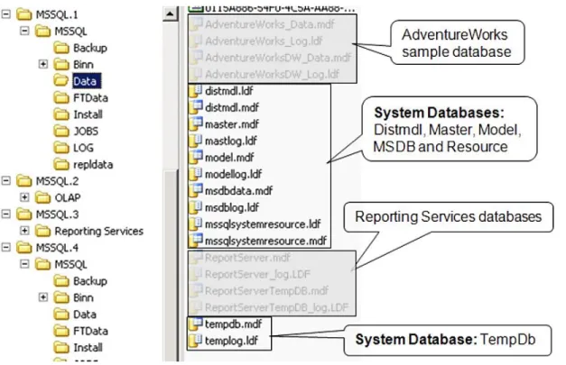 Figure 9) The MSSQL\Data subdirectory contents.  