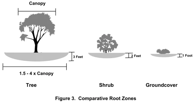 Figure 3.  Comparative Root Zones 