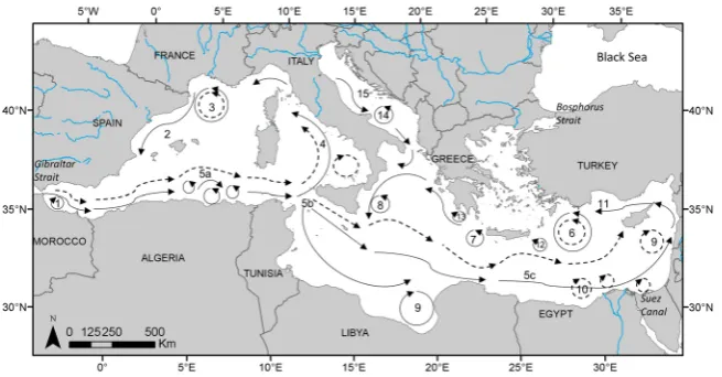 Figure 1. Map of main surface currents and gyres in the Mediterranean Sea. Dashed arrows represent summer circulation, plain arrows represent winter circulation