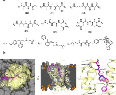 Figure 1. Chemical structure and molecular modelling of fluorescent ligands for the Hstructure (PDB code: 3RZE)structures of fluorescent mepyramine (pose of 1R