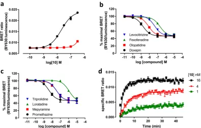 Table 4. Kinetic parameters of promethazine and loratadine at Nluc-HKinetic parameters were obtained by monitoring the binding of 10 nM concentrations of unlabelled ligand and calculated as detailed in Methods