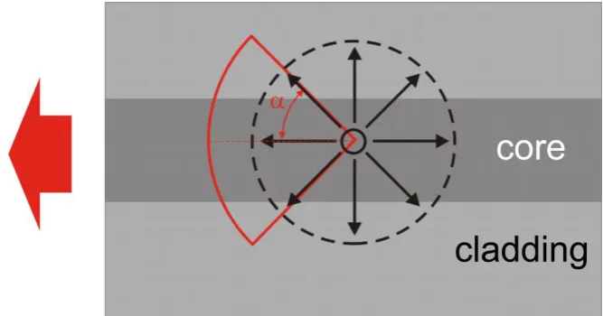 Figure 4. Schematic diagram illustrating the process of spontaneously emitted light coupling into the multimode fiber