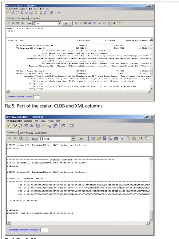 Fig 5  Part of the scalar, CLOB and XML columns  