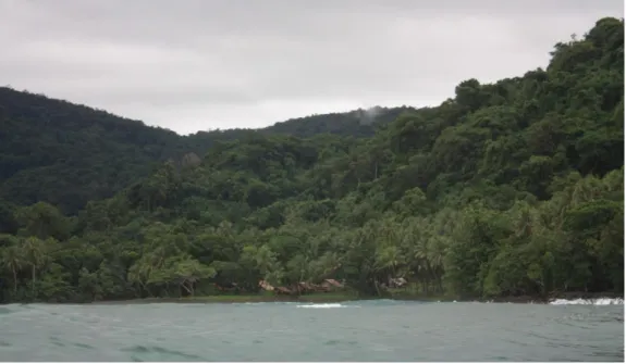 Figure 3.4: Huni village viewed from the sea  