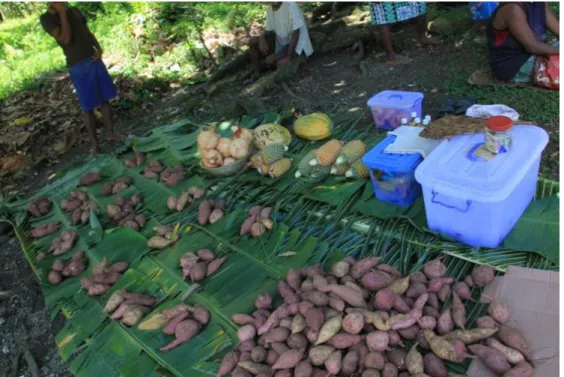 Figure 3.7: Small markets are becoming increasingly common in Kahua. The  items for sale in this photo are sweet potato, green coconuts, pineapple, and some  cooked goods (in the plastic containers)