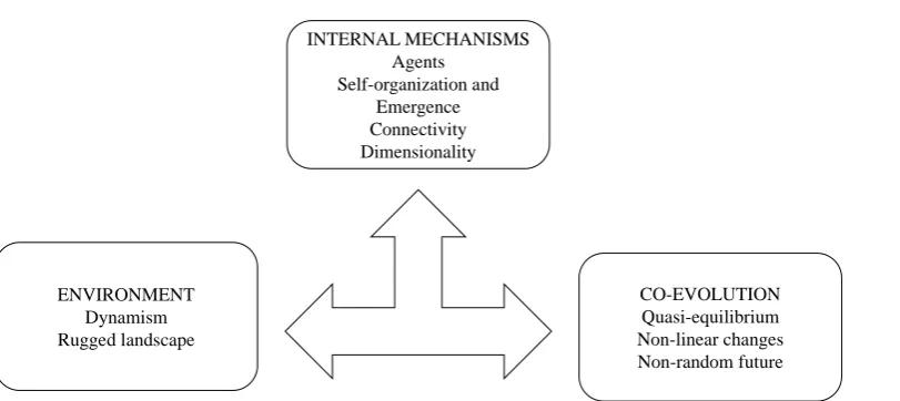 Figure 1. The original CAS framework (adapted from Choi et al., 2001) 