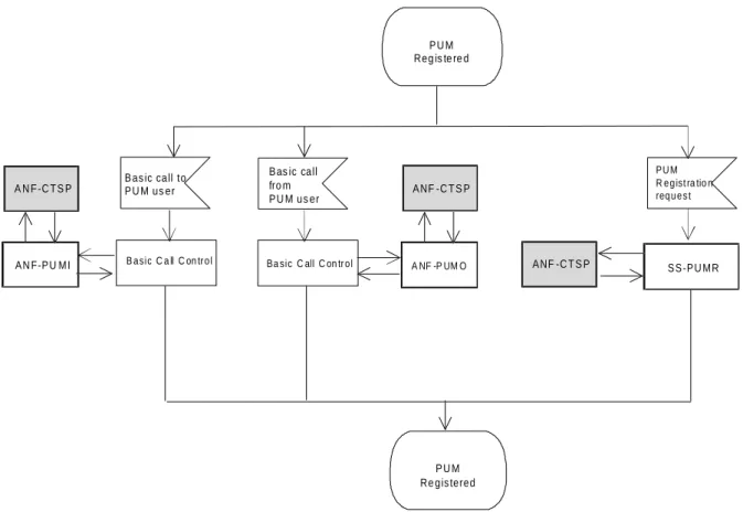 Figure 3: Relationship of PUM services (continued)