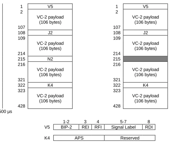 Figure 10: Structure of a VC-2 (left) and part of VC-2 which is transmitted transparently (right)