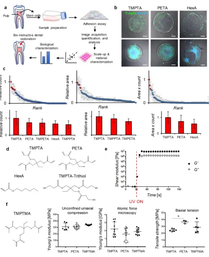 Figure 1. Rapid identification of triacrylate polymers as candidate bio-instructive dental restorative materials