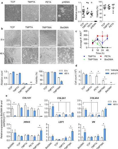 Figure 2. DPSCs adhere to triacrylate polymers and proliferate in a β1-integrin-dependent manner