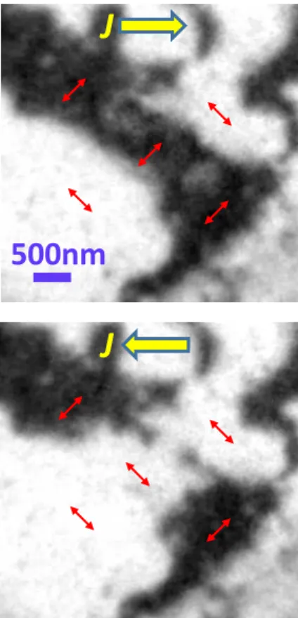 Fig. 5. XPEEM images showing current-induced writing of an antiferromagnetic domain in CuMnAs