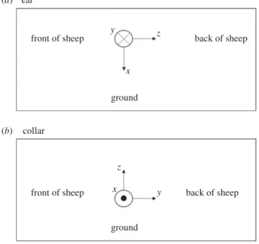 Figure 1. Sensor orientation for ear and collar.
