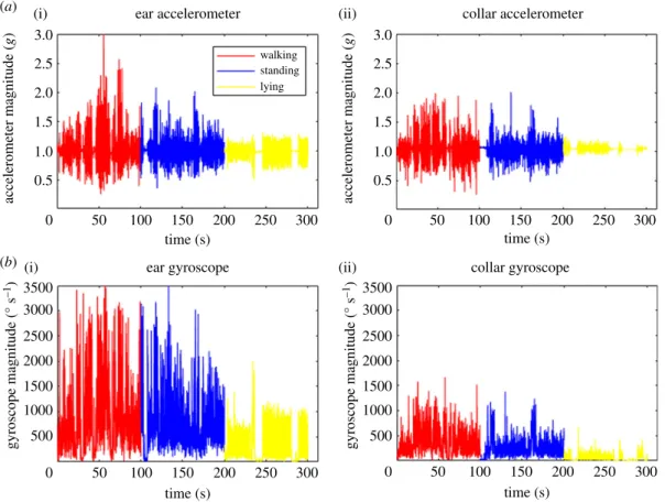 Figure 2. Representative examples of accelerometer and gyroscope data. Accelerometer (a) and gyroscope (b) data collected for collar