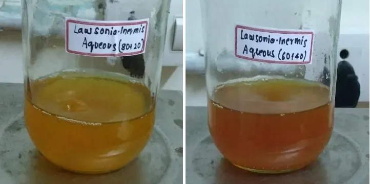 Fig 4: Colour change of nanoparticle after overnight incubation. 