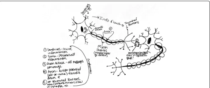 Fig. 6 Example of how to enhance learning through use of a visual example. Students might view this visual representation of neural communications with the words provided, or they could draw a similar visual representation themselves