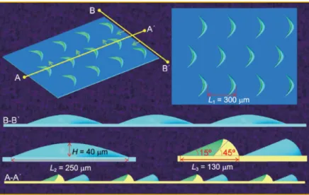 Figure 1.  3D simplified model of the crescent-like ridge. It was used for numerical simulation