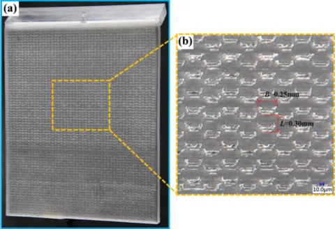 Figure 3.  Experimental sample. (a) The experimental sample with delicate water-trapping microstructures of 