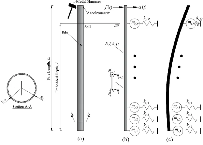Fig. 1. Model schematic, (a) pile geometry, (b) numerical schematic of beam-Winkler system, (c) first 175 