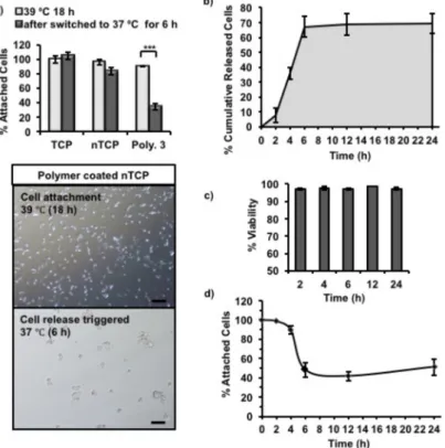 Figure 4. 3T3 cell release from Polymer 3-coated nTCP was triggered by switching incubation  temperature from 39 °C to 37 °C