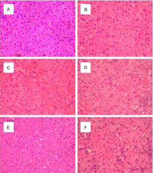 Figure 4. For HE staining, cytoplasm of liver tissue in control group was acidophil-ia