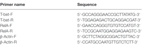 TaBle 2 | Sequences of primers used for amplification of p65/RelA, T-bet, and β-actin genes.
