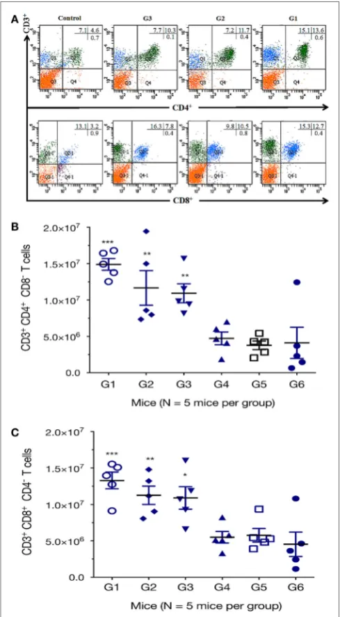 FigUre 4 | DNA immunization augmented the frequency of antigen-specific the spleen of mice 2 weeks after the final immunization by flow cytometry analysis