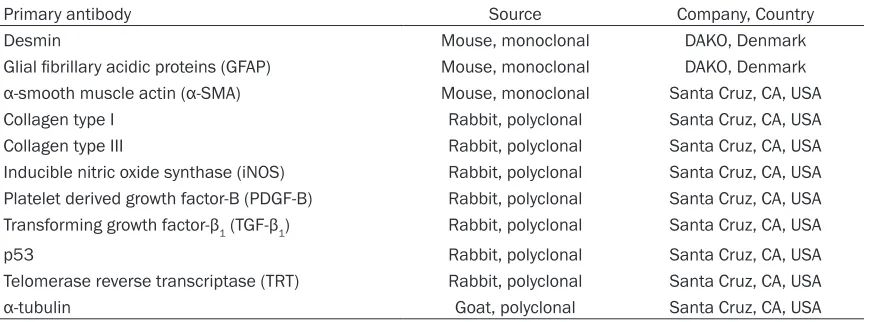 Table 1. Antibodies used for immunocytochemistry and Western blot