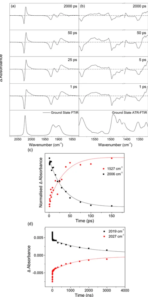 Figure  7.  TRIR  spectra  of  [Re(CO)3Cl(dppzNPh2)]  acquired in  CH2Cl2  in  in  the  ν(CO)  stretching  region  (a)  and  in  the fingerprint region (b)