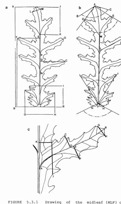 FIGURE 5.3.1 