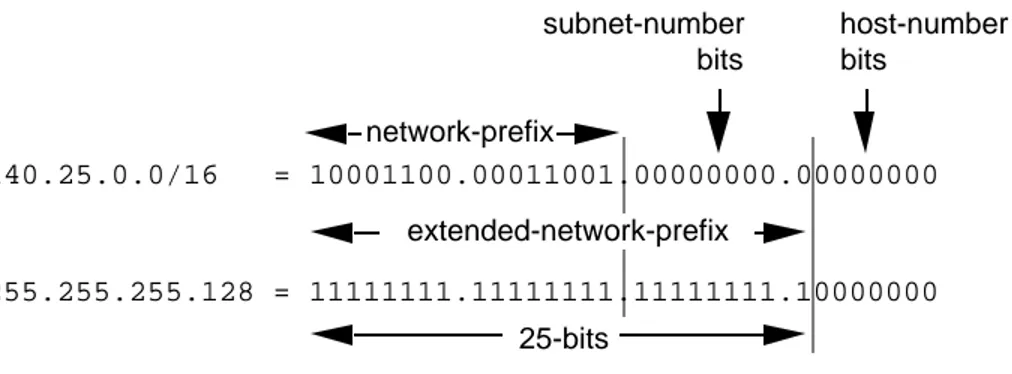 Figure 14:  Example #2 - Defining the Subnet Mask/Extended-Prefix Length