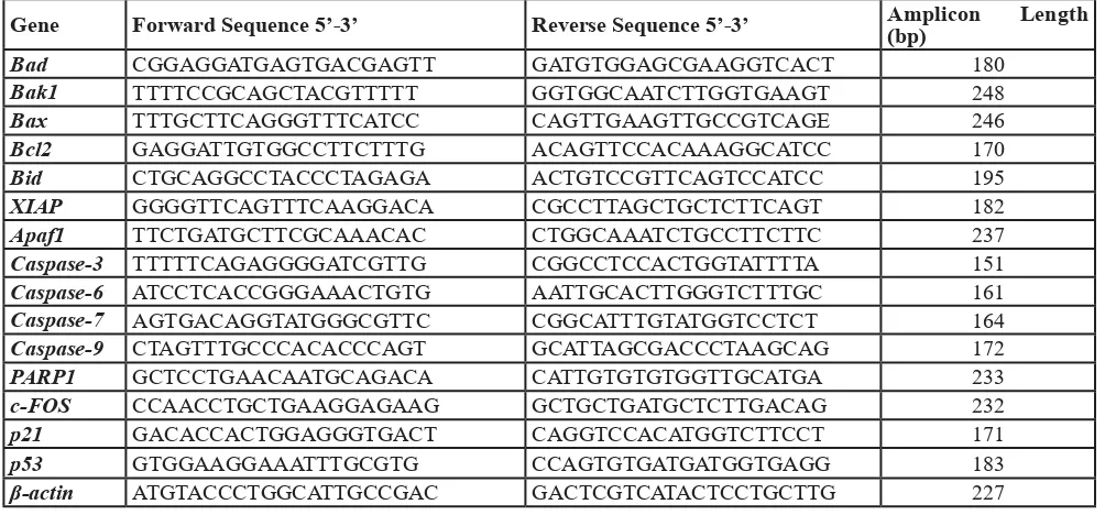 Table 1: Pro- and anti-apoptotic and β-actin gene primers used for PCR amplification