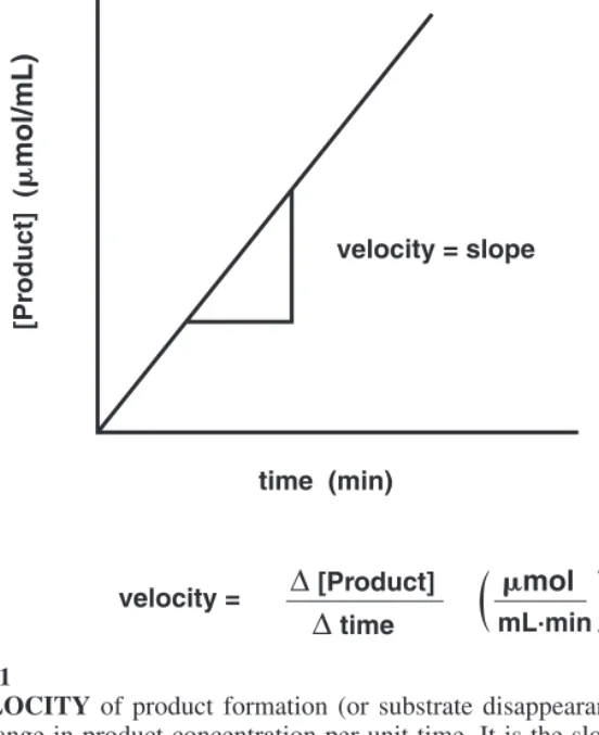 Figure 8-1 shows what happens when enzyme is added to a solution of substrate. In the absence of enzyme, product appearance is slow, and there is only a small change in product concentration with time (low rate)