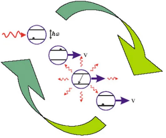 Figure 1.1 : The cyclic nature of photon absorption and re-emission acting to move the atom in the direction of the photon