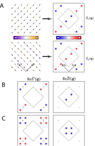 Figure   S2:   Fourier   Analysis   of   the   Density   Wave   (A   )Schematic   of   the   segregated   sublattice   images   Ox,y(