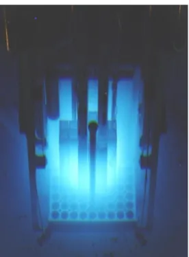 Figure 6.10 MSTR core in operation [42] 