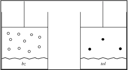 Figure 2:  Benzene and Toluene in Equilibrium with the Vapor Phase at 300 K 