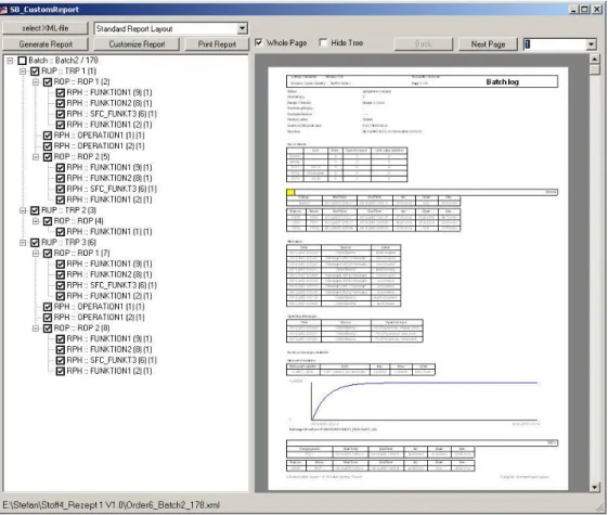 Figure 4.6: Direct access to a report page