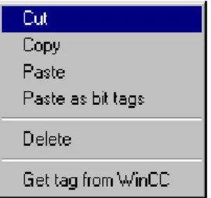 Fig. 2.5: Context menu for tag selection 