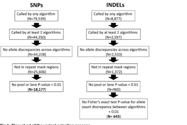 Fig 1. Flow chart of the variant selection process.