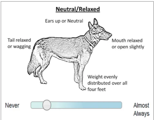 FIGURe 1 | Neutral image and visual analog scale used to score behavior in questionnaire about 5-month-old potential guide dogs.