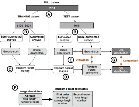Figure 1: Overview of the analysis pipeline used in this study . A. We divided the full dataset (2614 images) into two: a training set (100 to 900 images) and a test set (1645 images)