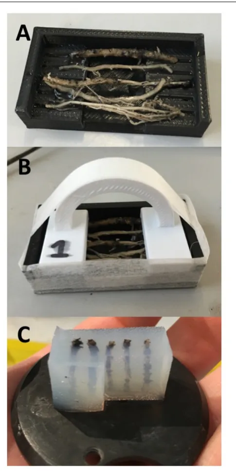TABLE 1 | Vibrating microtome settings utilized for achieving sections withdifferent sample types.