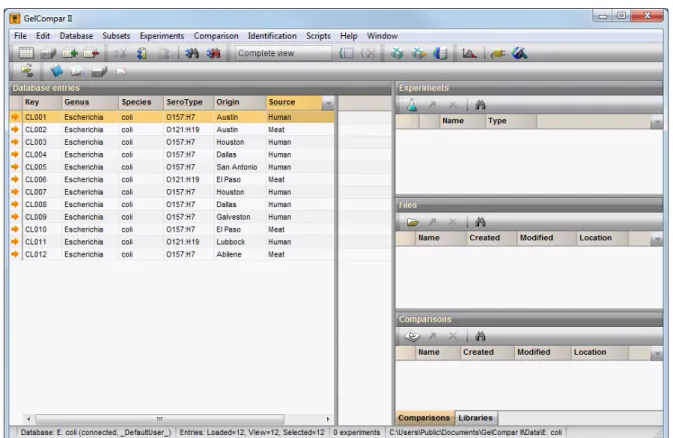 Figure 1.2.5: The GelCompar II main window after import.