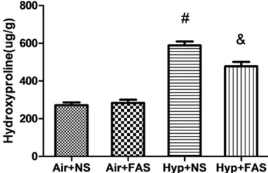 Figure 3. Radial alveolar count. Rats were exposed to hyperoxia and treated with fasudil for 21 days