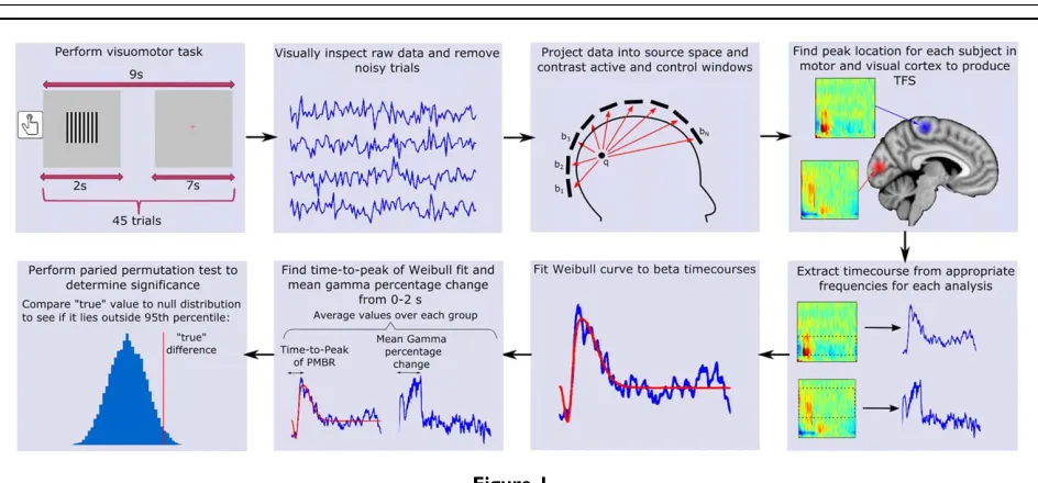 Figure 1.Schematic diagram summarising the stimulus and analysis methods for our visuomotor experi-