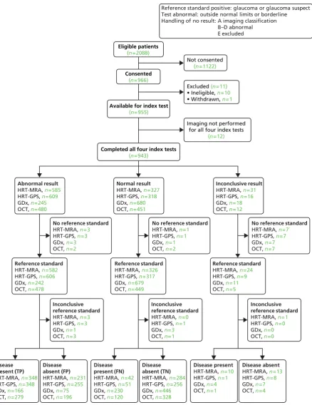 FIGURE 7 Flow diagram: diagnostic sensitivity analysis 4. FN, false negative; FP, false positive; TN, true negative;TP, true positive.