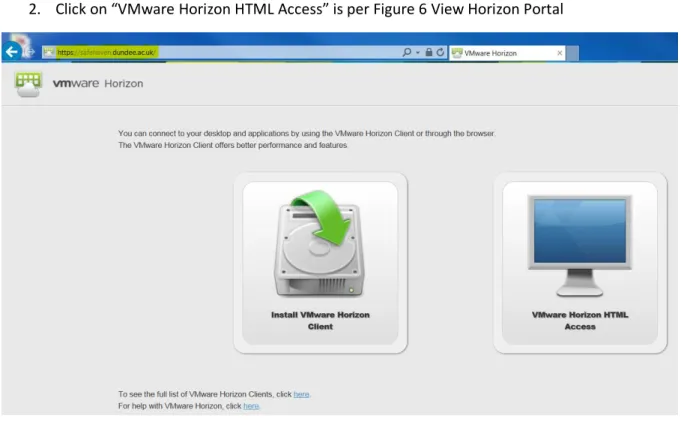 Figure 6 View Horizon Portal 