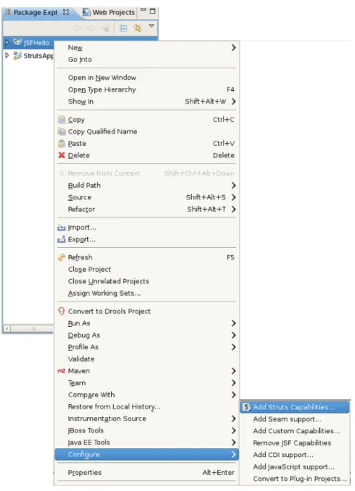 Figure 2.7. Adding Struts Capabilities