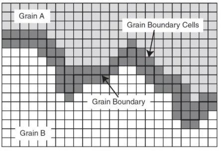 Figure 17: Grain boundaries in cellular automata models [139] 